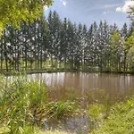 Mobil-home 4 Pers Avec Terrasse - Cuisine Equipee - Api-1-52-934